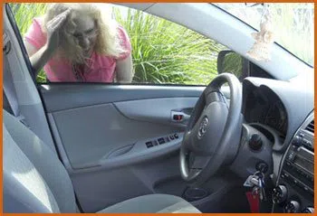 Village Locksmith Store Minneapolis, MN 612-568-1064 - 15-emergency-lockout